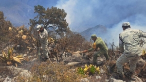 Incendio en Cañón del Novillo, en Tamaulipas, consume más de 2 mil hectáreas