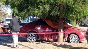 Mujer muere en choque de vehículo contra un árbol, en Culiacán