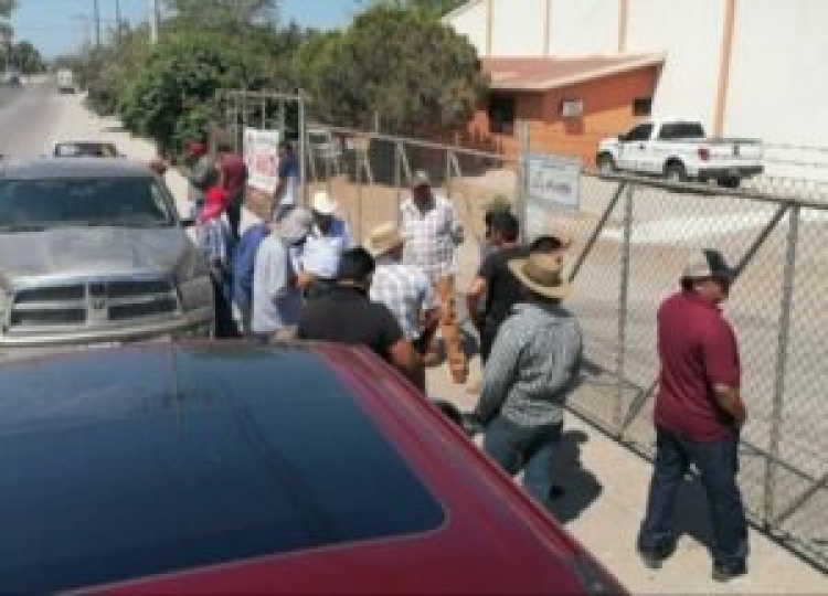 Campesinos toman bodegas MD por no pagar el garbanzo, en Guamúchil