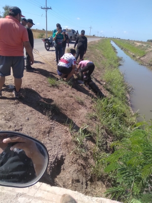 Flota cadáver de un hombre en canal de riego de Sataya, Navolato