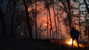 Incendios forestales arrasan con más de 24 mil hectáreas en Sinaloa; aún persisten dos focos activos al Sur de la entidad