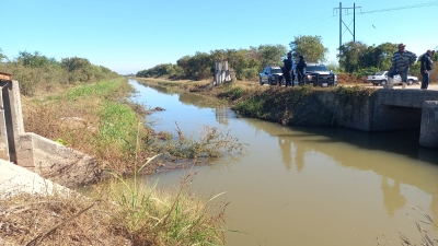 Flota cadáver en canal de riego del Ejido Buenos Aires, de Navolato