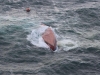 Naufragio de barco surcoreano frente a costas de Japón deja 8 muertos