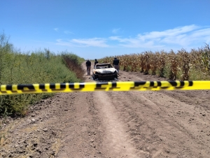 Policías municipales hallan restos humanos en auto calcinado en camino de terracería hacia &#039;La Pipina&#039;, en Navolato