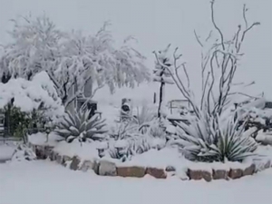 Previo a la primavera, se reporta nevada en municipio de Coahuila