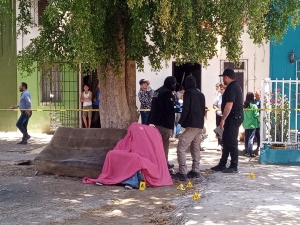 Bajo la sombra de un árbol, matan a vecino de Infonavit Humaya, en Culiacán