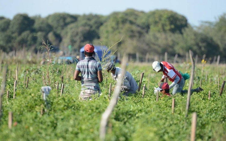 Gobernación no tiene palabra: La Unión de Campesinos unidos de Sinaloa