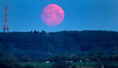 Superluna Rosa de abril 2021, &iquest;cu&aacute;ndo es y por qu&eacute; se llama as&iacute;?