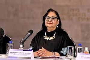 Cancela Norma Pi&ntilde;a visita al Senado por falta de condiciones