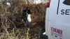 Hallan restos &oacute;seos de una persona en la carretera M&eacute;xico 15