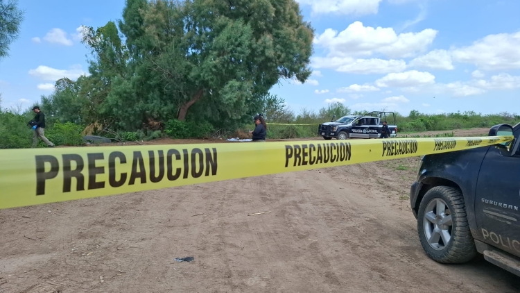 RESUMEN: 2 personas asesinadas, 3 'levantadas' y 4 autos robados en Sinaloa, el saldo rojo del 24 Agosto 2026