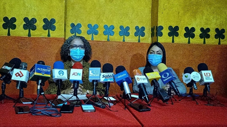 Cuestiona la diputada Graciela Domínguez, encuestas de Morena