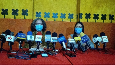 Cuestiona la diputada Graciela Dom&iacute;nguez, encuestas de Morena