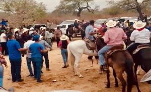 Carrera clandestina de caballos deja dos muertos en el municipio de Choix, Sinaloa