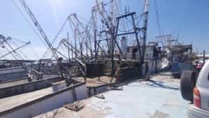 Pescadores piden unirse para exigir apoyos al Gobierno