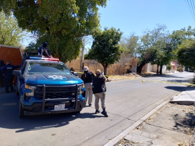 RESUMEN: 4 personas asesinadas, 4 'levantadas' y un auto robado en Sinaloa, el saldo rojo del 09 Marzo 2025