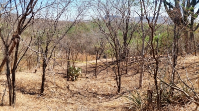Hallan el cuerpo de un hombre dentro de un arroyo de la comunidad de Carrizalejo