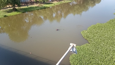 Hombre se lanza al R&iacute;o Tamazula, buscan su cuerpo