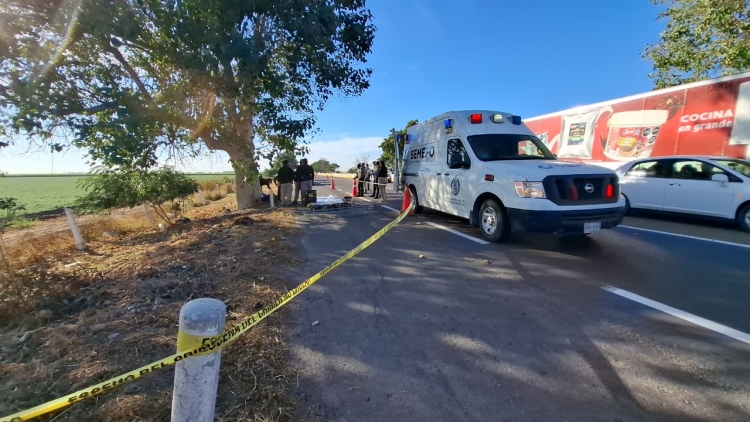 Asesinan a balazos a 2 hombres junto a la Autopista Benito Ju&aacute;rez, en Culiac&aacute;n