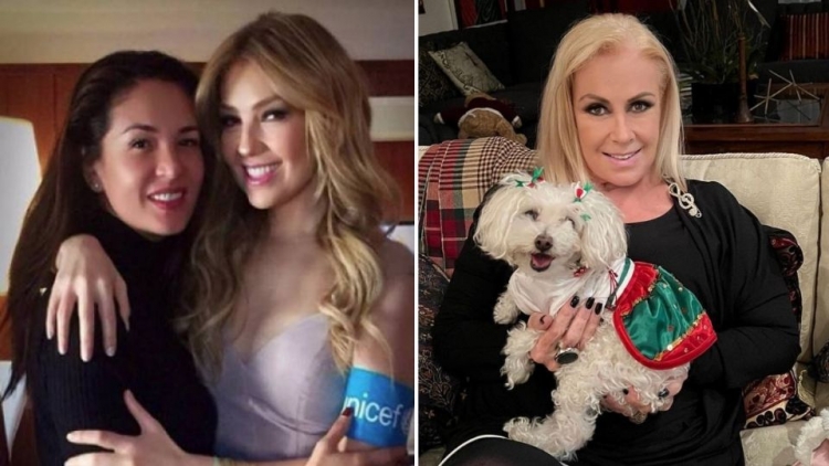 Yolanda Andrade se lanza contra Laura Zapata por insinuar que tuvo una relaci&oacute;n con Thal&iacute;a: &ldquo;Le call&eacute; el hocico&rdquo;