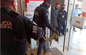 &iexcl;Por su aguinaldo! En hecho inusual, amanece una iguana en un cajero autom&aacute;tico