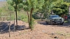 RESUMEN: 2 personas asesinadas, una 'levantada' y un auto robado en Sinaloa, el saldo rojo del 16 Marzo 2026