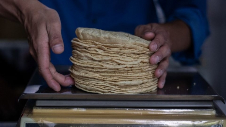 Detectan tortillas &#039;pirata&#039; en Durango, Coahuila y Sinaloa