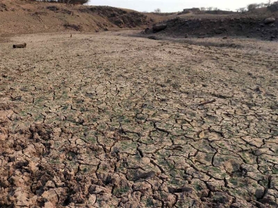 Sufre 56% del país algún grado de afectación por sequía