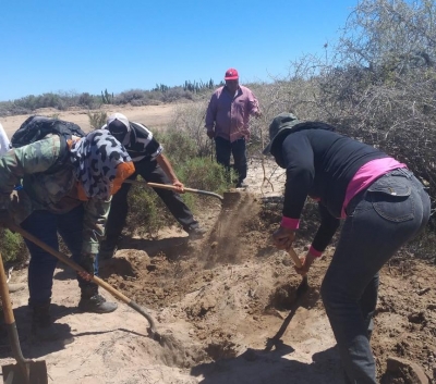 Son ya 11 cuerpos localizados por colectivos de búsqueda en una semana en Ahome