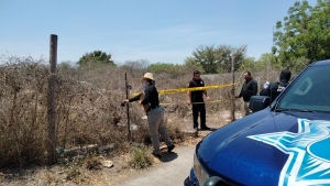 Matan a joven a golpes y abandonan su cuerpo en terreno enmontado, al sur de Culiacán