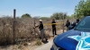 Matan a joven a golpes y abandonan su cuerpo en terreno enmontado, al sur de Culiac&aacute;n