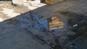 Locatarios no aguantan la peste a drenaje