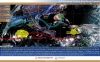 Imagen de fen&oacute;menos metereol&oacute;gicos
