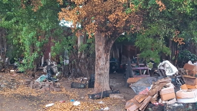 RESUMEN: 3 personas asesinadas en Sinaloa, el saldo rojo del 11 Enero 2026