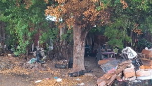 RESUMEN: 3 personas asesinadas en Sinaloa, el saldo rojo del 11 Enero 2026