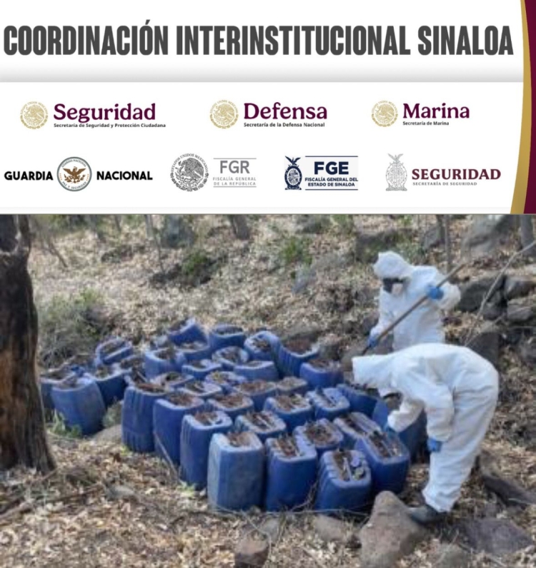 Desmantelan fuerzas federales 11 laboratorios clandestinos