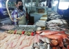 Dan a conocer la lista de precios de Cuaresma 2023 en el Mercado Garmendia