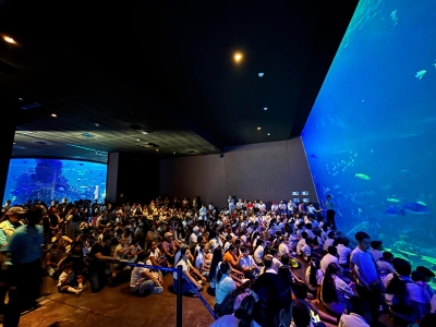 &Uacute;ltimo fin de semana para que mazatlecos y sinaloenses disfruten el Gran Acuario a precio especial