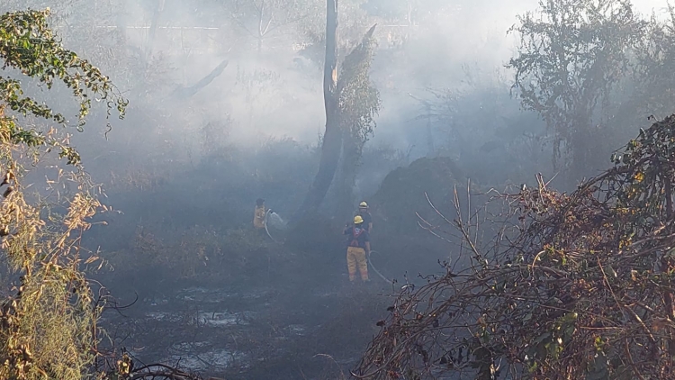Maleza propaga incendio en Tres R&iacute;os