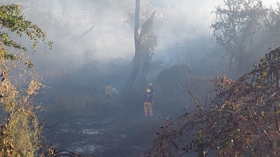 Maleza propaga incendio en Tres R&iacute;os