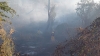 Maleza propaga incendio en Tres R&iacute;os
