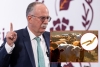 Senadores exigen la renuncia de Julio Berdegu&eacute;, Secretario de Agricultura, por el gusano barrenador