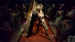 Lastiman a momias de Guanajuato durante obras de remodelación en el museo