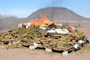 Incinera la FGR seis toneladas de drogas y precursores qu&iacute;micos, en Sinaloa