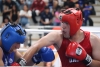 13 boxeadores de la UAS van por el oro en los juegos Anuies 2026