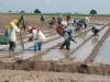 Rechazan productores base del ma&iacute;z a 41 d&oacute;lares propuesta por Segalmex: productores
