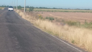 Semidesnudos, dejan a dos hombres ejecutados en Guasave
