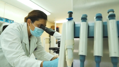 La Facultad de Medicina Veterinaria y Zootecnia de la UAS, en primer lugar de investigaci&oacute;n de calidad en todo el pa&iacute;s, seg&uacute;n el Times Higher Education