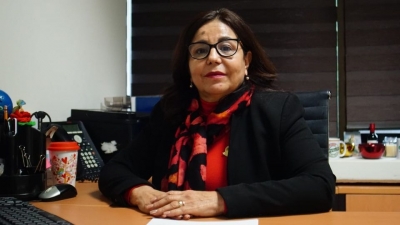 Entr&oacute; en vigor reforma que regula el Teletrabajo, asegur&oacute; diputada Margarita Inzunza