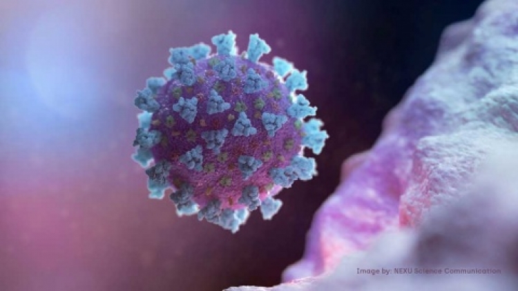 EU afirma que Rusia esta realizando publicaciones en redes en las que culpa a la CIA sobre el coronavirus